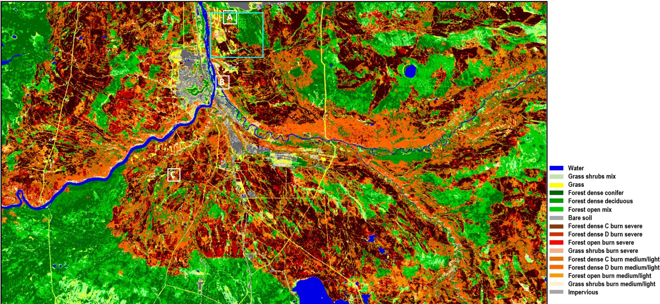 Post-wildfire boreal forest vegetation cover change mapping